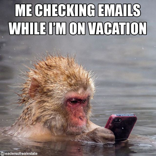 checking emails on vacation