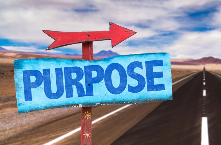 find your purpose