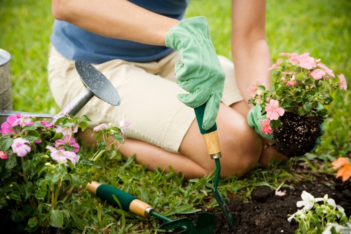 Home maintenance and gardening