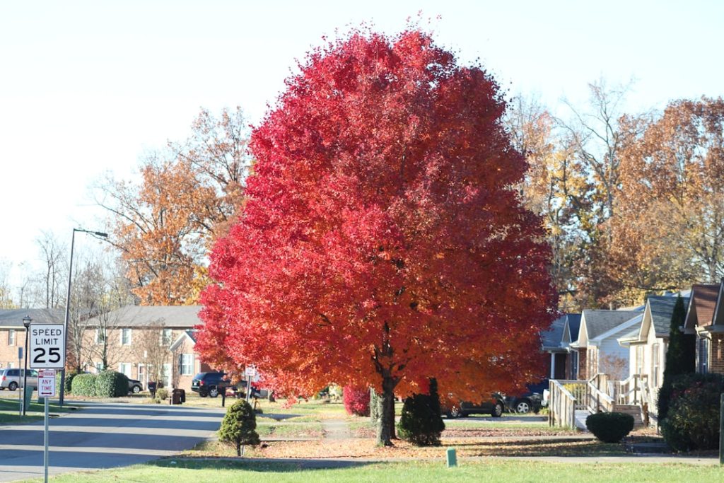 Greater Louisville Association of Realtors